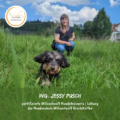 Mobile Hundeschule Wien, Welpenschule Wien
