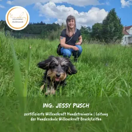 Mobile Hundeschule Wien, Welpenschule Wien