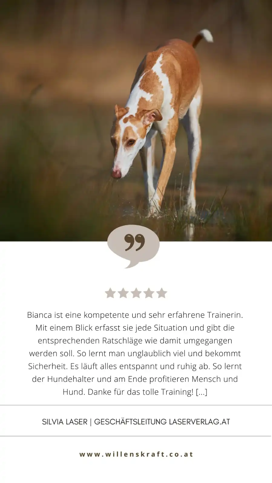 Bewertung Hundetrainer Ausbildung 7