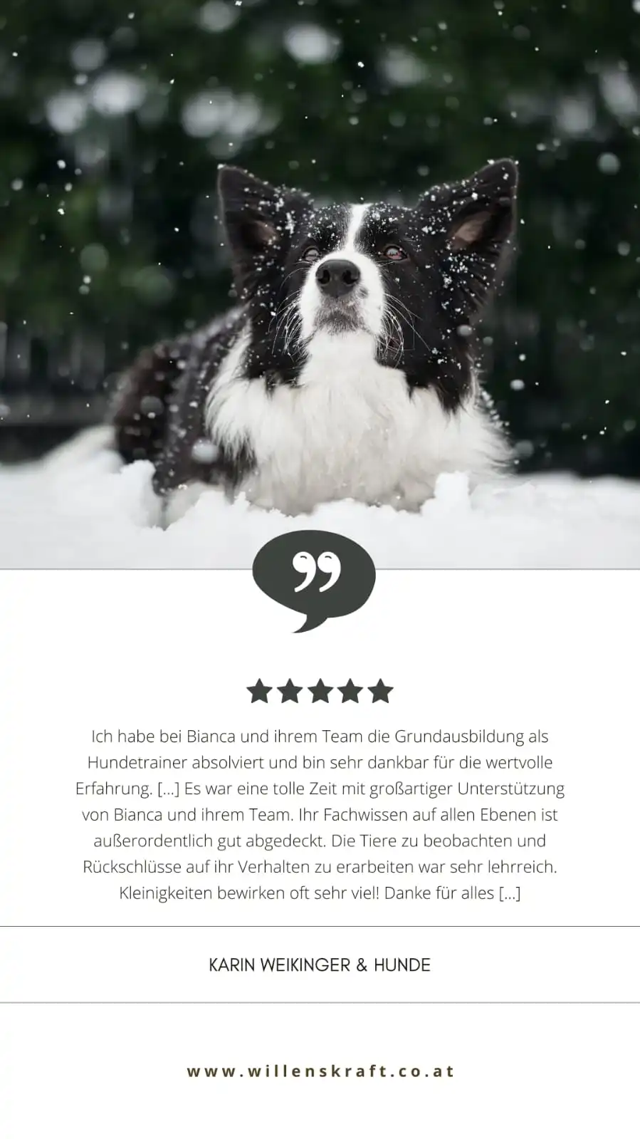 Bewertung Hundetrainer Ausbildung 4