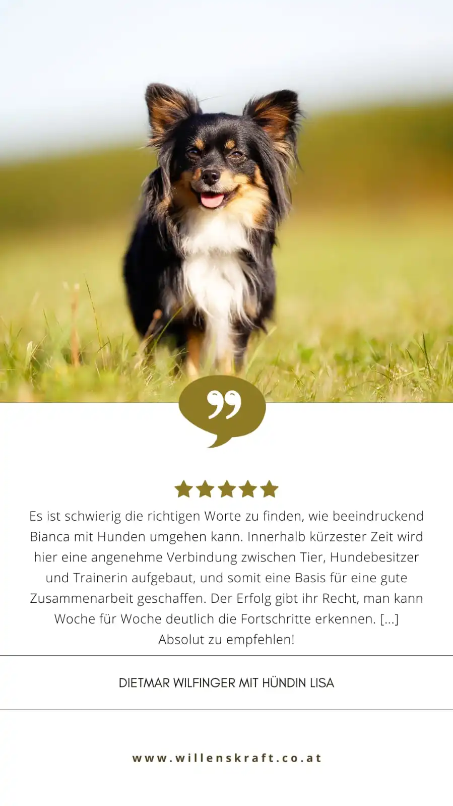 Bewertung Hundetrainer Ausbildung 3