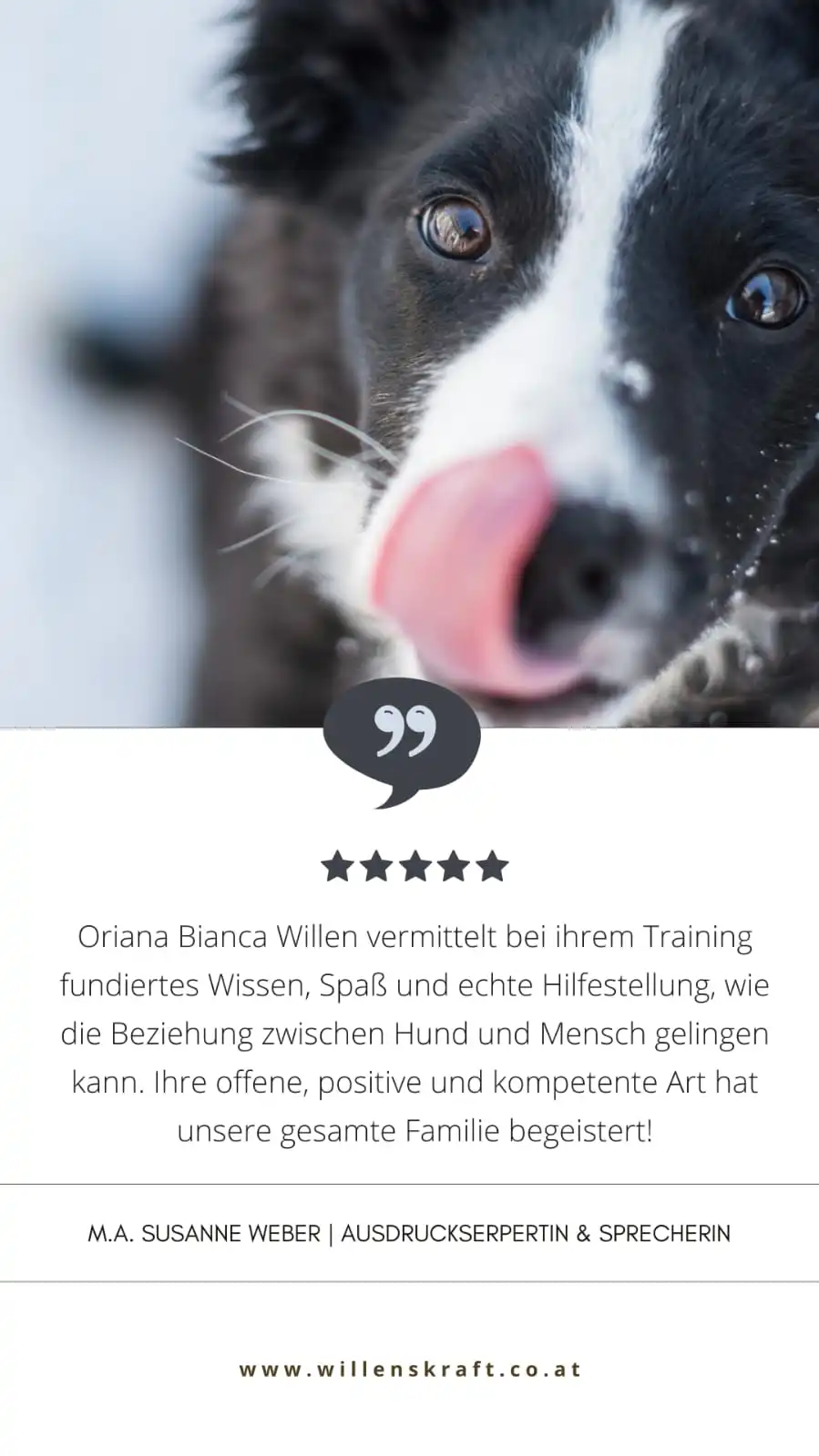 Bewertung Hundetrainer Ausbildung 8