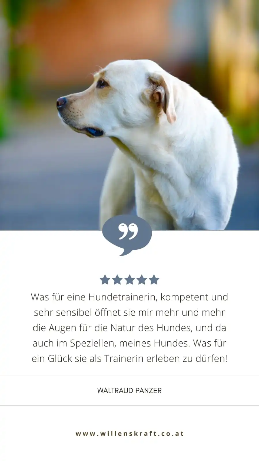 Bewertung Hundetrainer Ausbildung 6