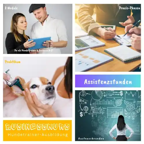 Hundetrainer-Ausbildung mit Willenskraft