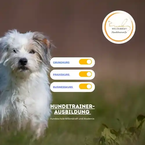 Hundetrainer-Ausbildung mit Willenskraft