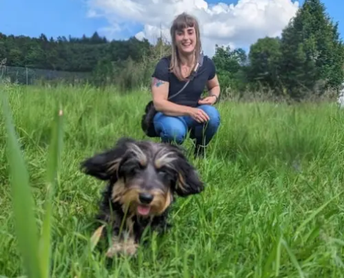 Mobile Hundeschule Wien und Bruck an der Leitha