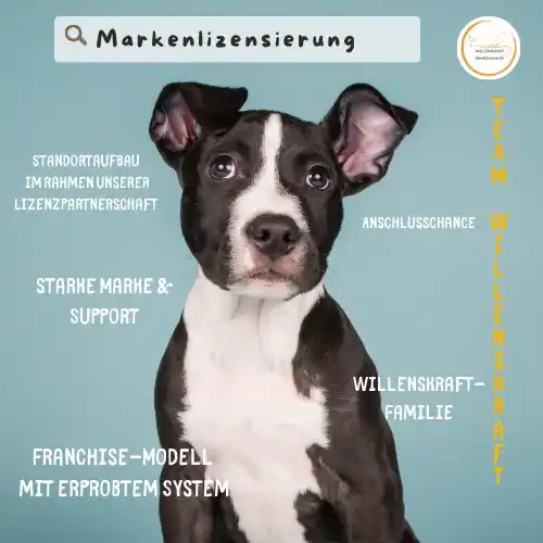 Hundetrainer-Ausbildung mit Willenskraft