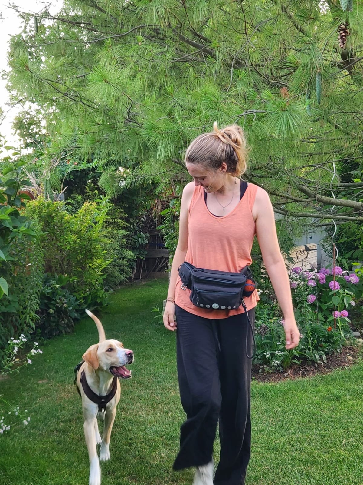 Katrin Ladler beim mobilen, gewaltfreien Hundetraining mit Garry am Y-Geschirr